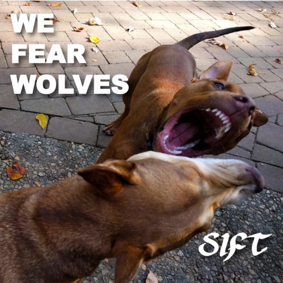 Sift - We Fear Wolves cover art