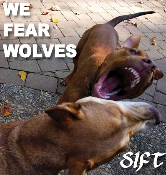 We Fear Wolves cover